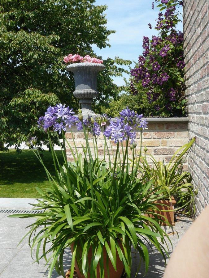 B&B Casabelle Boekhoute Kültér fotó